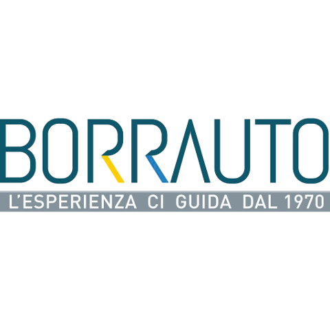 Borrauto