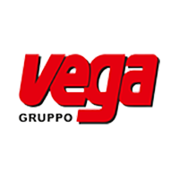 Gruppo Vega